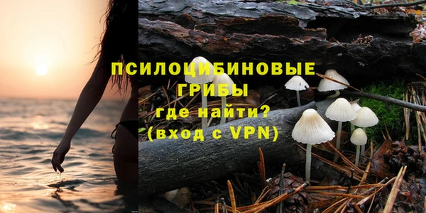 mdpv Краснослободск