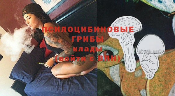 МДПВ Алексин